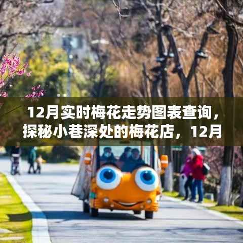 探秘小巷深处的梅花店,揭秘梅花走势图的最新体验与实时查询
