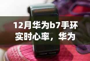 华为B7手环实时心率监测功能深度体验与解析,12月实时心率监测体验揭秘