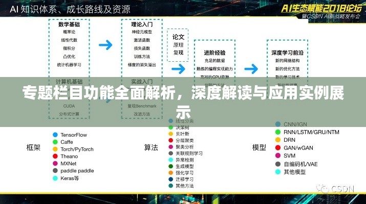 专题栏目功能全面解析,深度解读与应用实例展示
