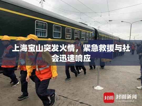 上海宝山突发火情,紧急救援与社会迅速响应