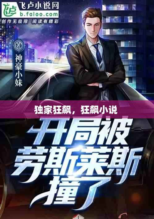 独家狂飙,狂飙小说