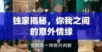 独家揭秘,你我之间的意外情缘