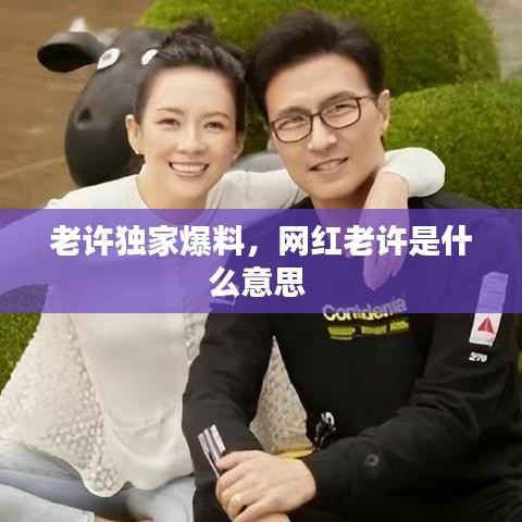 老许独家爆料,网红老许是什么意思