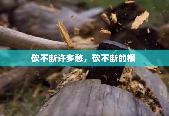 废寝忘食 第2页