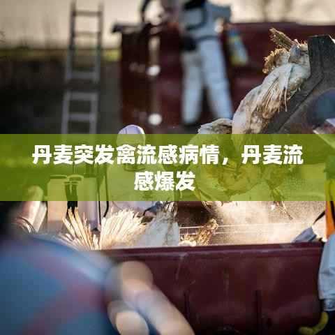 读书三到 第2页