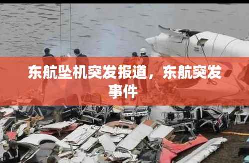 东航坠机突发报道,东航突发事件