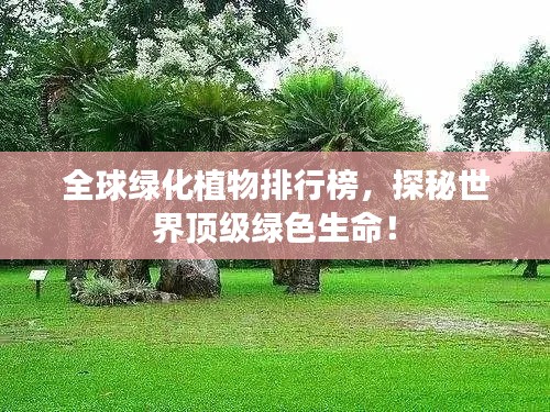 全球绿化植物排行榜,探秘世界顶级绿色生命!