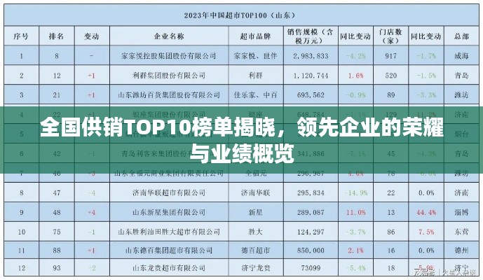 全国供销TOP10榜单揭晓,领先企业的荣耀与业绩概览