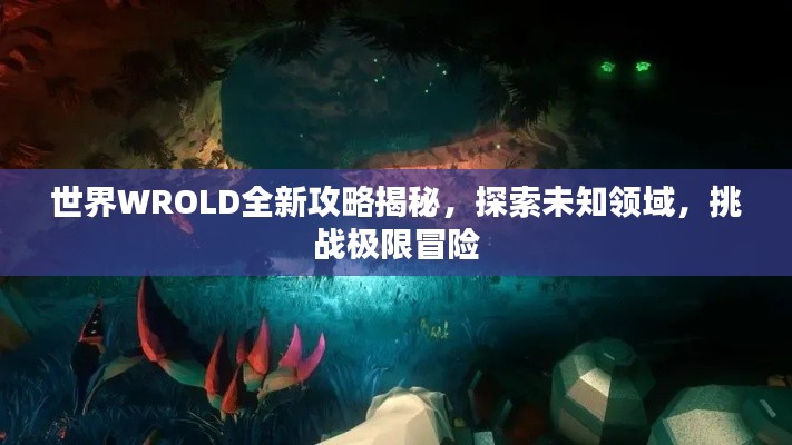 世界WROLD全新攻略揭秘,探索未知领域,挑战极限冒险