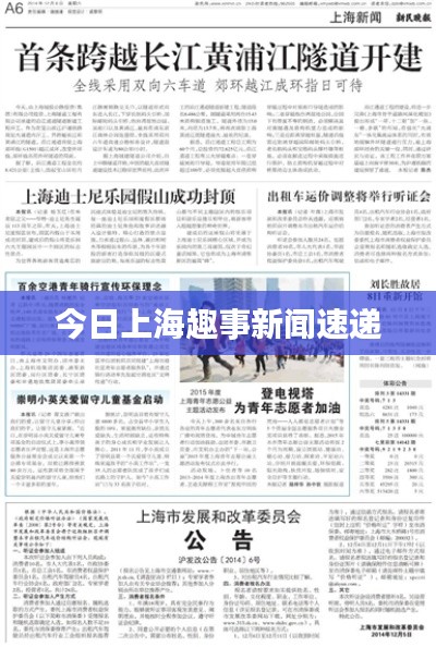 chongshuniaozhuan 第2页