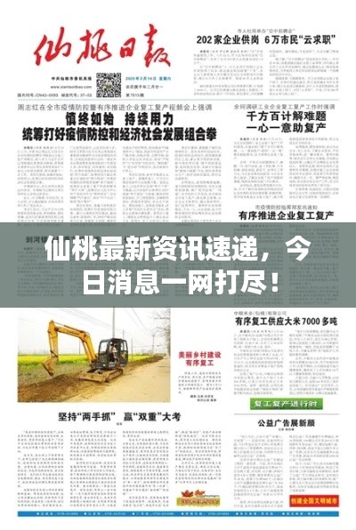 仙桃最新资讯速递,今日消息一网打尽!
