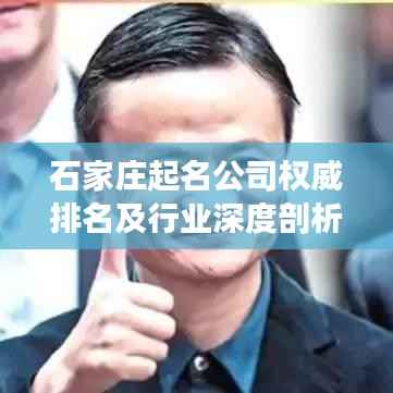 石家庄起名公司权威排名及行业深度剖析
