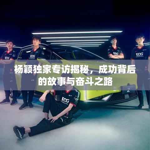 杨颖独家专访揭秘,成功背后的故事与奋斗之路