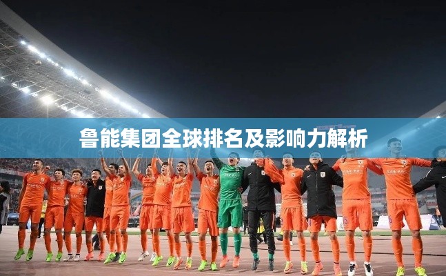 鲁能集团全球排名及影响力解析