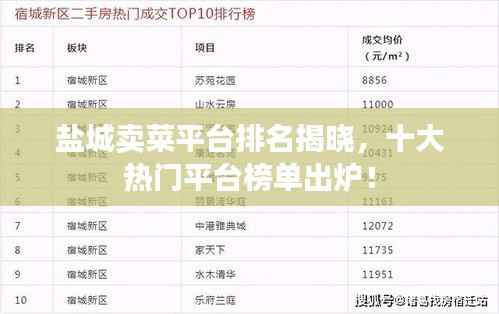 盐城卖菜平台排名揭晓,十大热门平台榜单出炉!