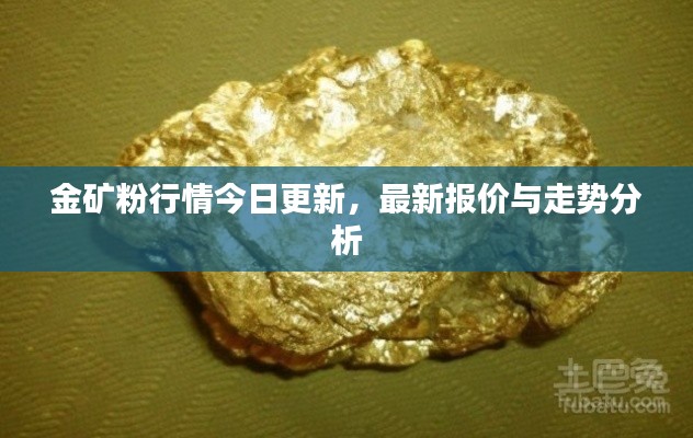 金矿粉行情今日更新,最新报价与走势分析