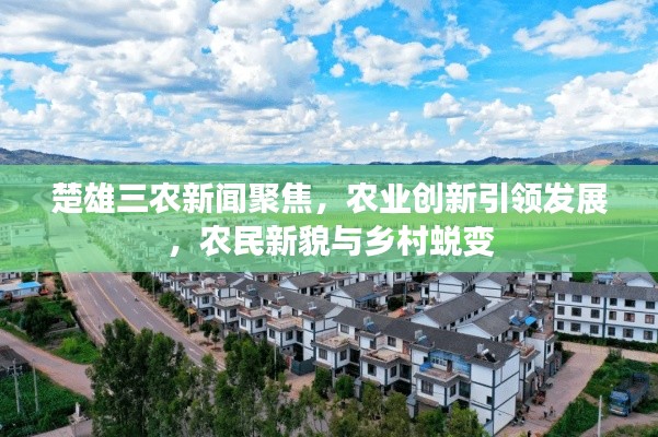 楚雄三农新闻聚焦,农业创新引领发展,农民新貌与乡村蜕变