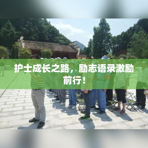 护士成长之路,励志语录激励前行!